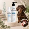 PSH Otic Cleaner ørerens med tea tree-olie og aloe vera, der renser og plejer hundens ører – vist med en gravhund