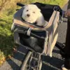 Ollipet Cykelkurv og rygsæk til hunde i ét