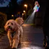 Flexline med led lys og reflekssnor på 5 meter