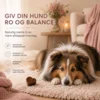 Ollipet Calming Support - giver i ro i hverdagen