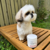 Beroligende fodertilskud til hunde