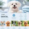 Ollipet Dental Care Powder