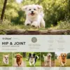 Ollipet Hip & Joint Support Premium - Til alle hunderacer!