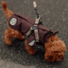 Doodlehundehvalp med mokka regnjakke