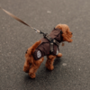 Mokka hunderegnjakke med integreret hundesele