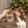 Hund præsenteres for et juletyggeben formet som en honningkagemand