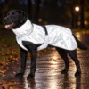 Se forskellen, når lyset rammer: Jakkens fuldt reflekterende stof gør hunden langt mere synlig på mørke gåture