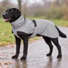 Klar til gåtur i al slags vejr: Dogman Ralf Light giver den store hund en praktisk regnjakke med god dækning og justerbar pasform