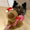 Sød julebamse til hunde i alle størrelser
