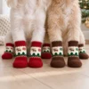 Ollipet Christmas hundestrømper | 4 stk