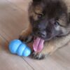 KONG Puppy Small| hvalpelegetøj