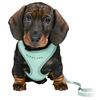 Trixie Puppy Dog hvalpesele og line | Mint