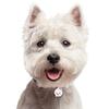 My Family |Hundetegn West Highland White Terrier