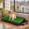 Hundetoilet til hvalpen der ikke kan nå at komme ned at tisse