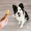 WHIMZEES tandbørster til hunde - Vegetabilsk snack