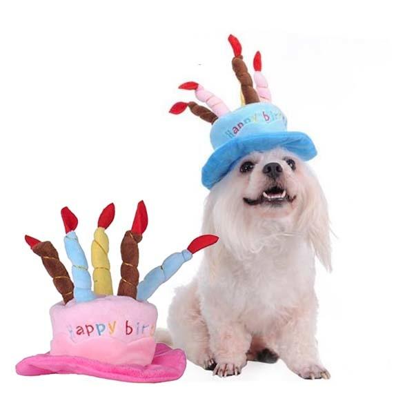 Fødselsdagshat til hunde med lys → Her