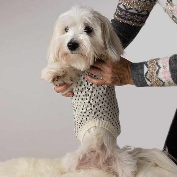 Påstand paraply Ligegyldighed Comfy hundesweater med poteaftryk i strik