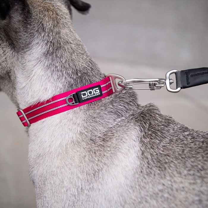 Kong Lear elektronisk Philadelphia Dog Copenhagen Urban Style Hundehalsbånd → Tryk Her