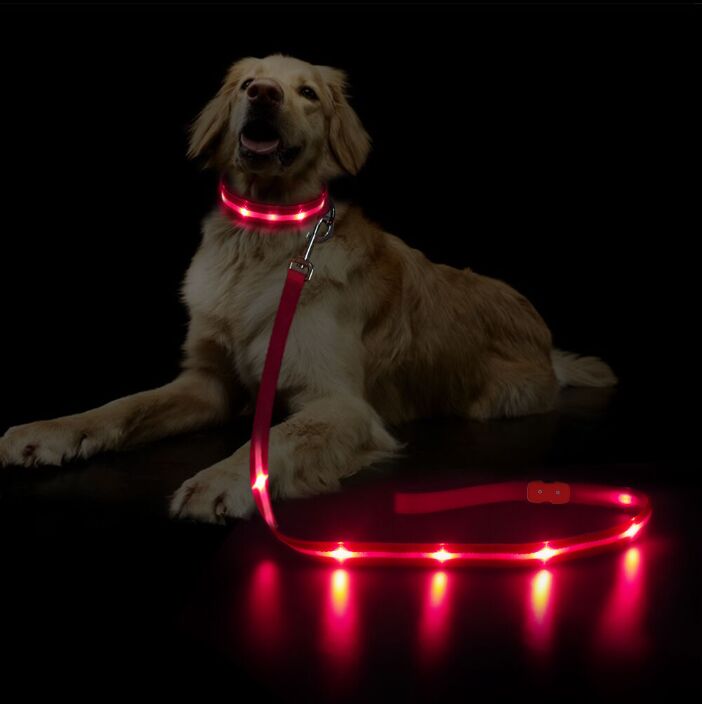 dump Forventer fantom Hundesnor med LED-lys | Genopladelig → Tryk Her