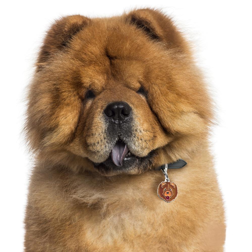 My Family Chow Chow Cotonshoppen.dk