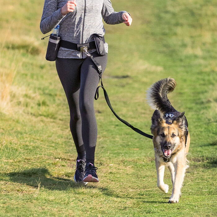 Gå en tur Uafhængig os selv Trixie Håndfri Hundesnor | Til Gåture & Løbeture → Tryk Her