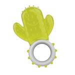 Cactus Chill Teething Toy | AFP Hundeis