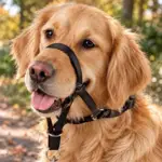 Pawise Dog Head Collar | Anti-træk snudesele