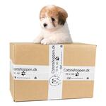 Puppy Surprise Box z1
