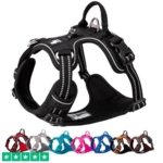 TrueLove Explosion Proof | LUKSUS Hundesele