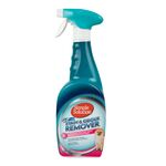 Stain & Odour Remover