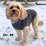 Ollipet Cozy Soft Sweater