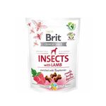 Brit Crunchy Snack | Insects With Lamb 200g
