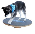 FitPAWS WobbleBoard