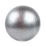 Ollipet DogFit Air | Balance Ball