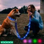 Hundesnor med LED-lys | Genopladelig