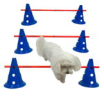 Ollipet DogFit Agility | Hurdle Cone set