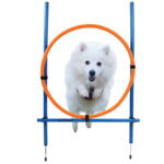 Ollipet DogFit Agility | Hurdle Jump Ring