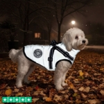 Ollipet Arctic Explorer Refleks | Vinterdækken