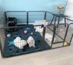 Ollipet hvalpegård i kraftigt hammerlak | 61cm høj DEMOMODEL