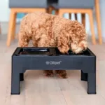 Ollipet Tanaka Foderstation