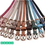 Ollipet Luxor Halsbånd