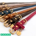 Ollipet Luxor Halsbånd