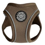 Ollipet For Wagging Tails | Step in Sele
