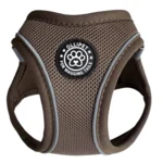 Ollipet For Wagging Tails | Mokka