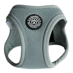 Ollipet For Wagging Tails | Step in Sele