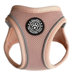 Ollipet For Wagging Tails | Step in Sele