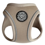 Ollipet For Wagging Tails | Step in Sele