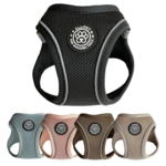 Ollipet For Wagging Tails | Step in Sele