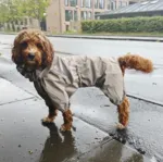 Ollipet Poncho Regndragt | Khaki