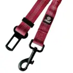 Ollipet for wagging tails med kraftig karabinhage og lås-tunge